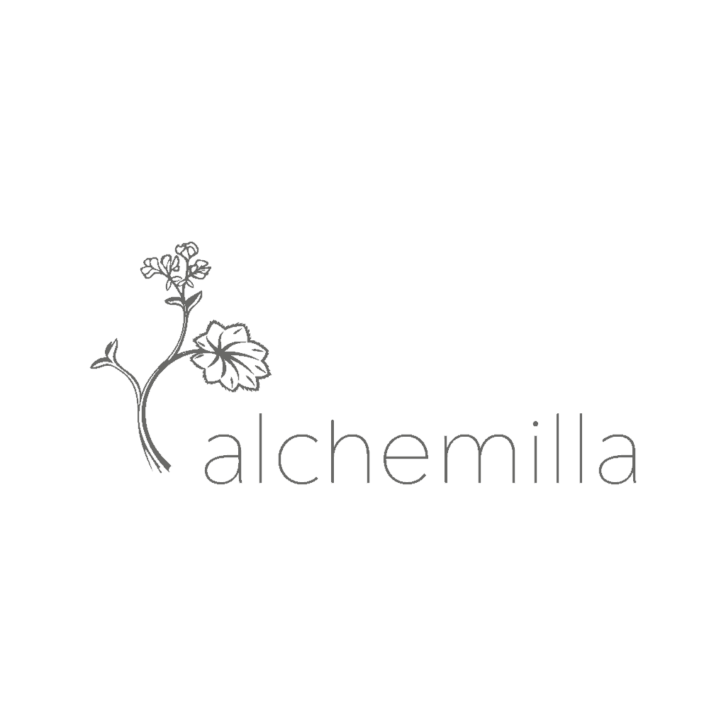 Alchemilla